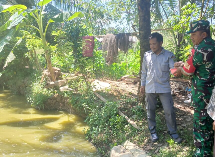 Babinsa Koramil 1008-05/Kelua–Muara Harus Dampingi Pembudidaya Ikan Patin di Desa Sei Buluh