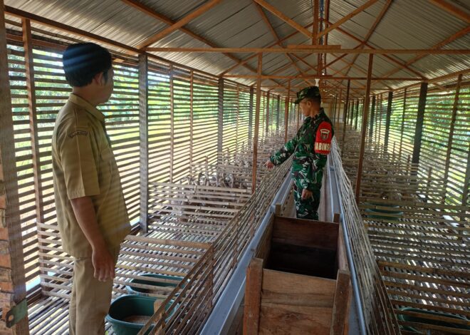 Babinsa Koramil LAU Dampingi Usaha Peternakan Itik Petelur untuk Tingkatkan Kesejahteraan Warga