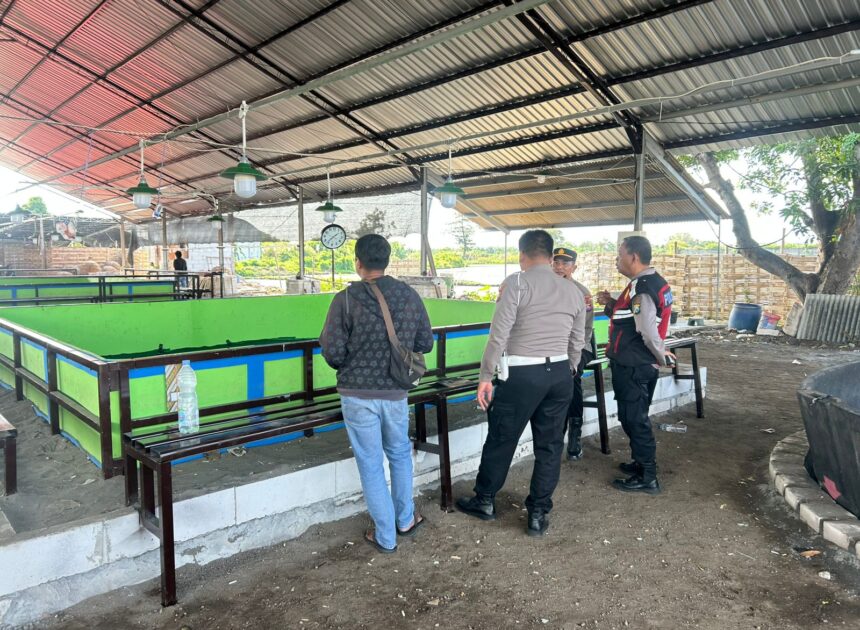 Kabar-kabar di Obrak Tapi Tak Ada Pelaku Diamankan, Arena Masih Berdiri Tegak, Dugaan Sabung Ayam Masih Bermain