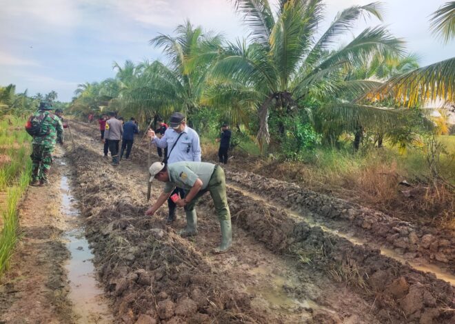 Dukung Ketahanan Pangan Wilayah, Babinsa Salatiga Tanam Jagung Bersama Polri