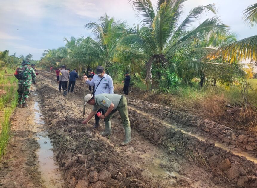 Dukung Ketahanan Pangan Wilayah, Babinsa Salatiga Tanam Jagung Bersama Polri