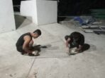 IMG-20260704-WA0083
