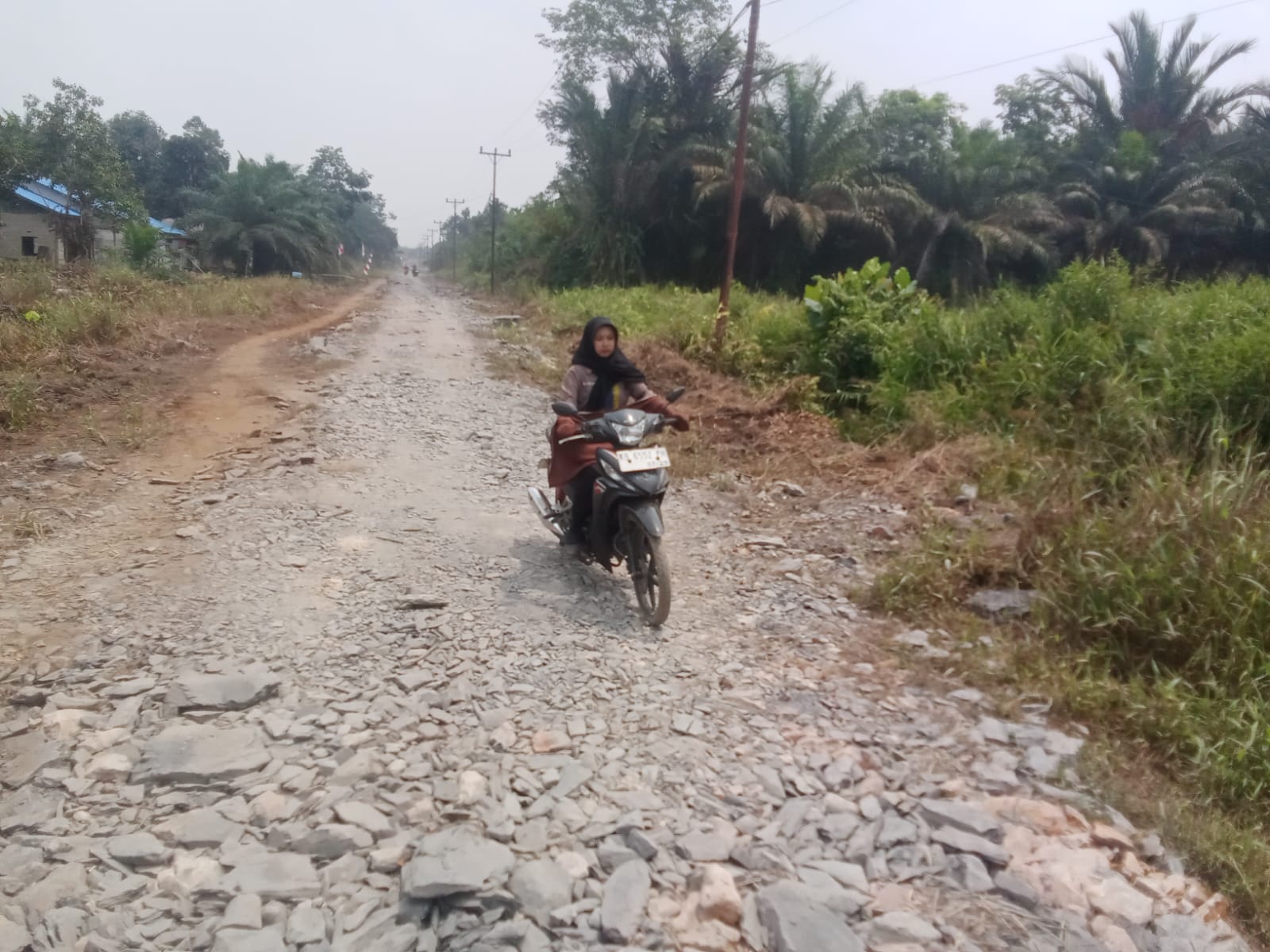 IMG-20260814-WA0202