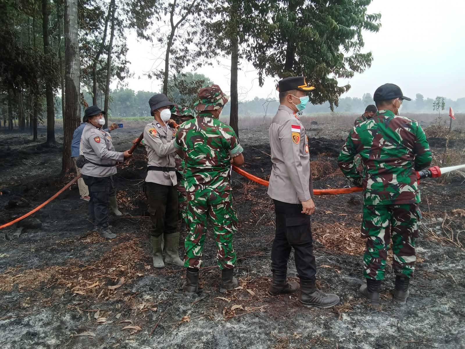 IMG-20260822-WA0055